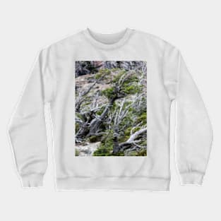 Windswept Woodland Crewneck Sweatshirt